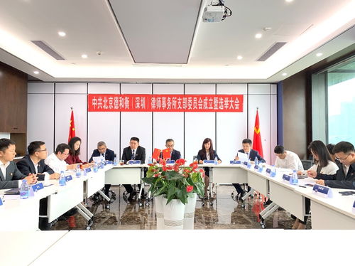 中共北京德和衡 深圳 律师事务所支部委员会成立暨选举大会顺利召开