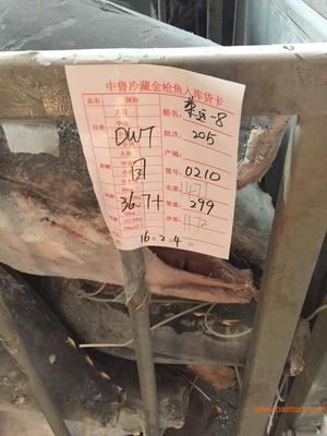 保拍网润滑油